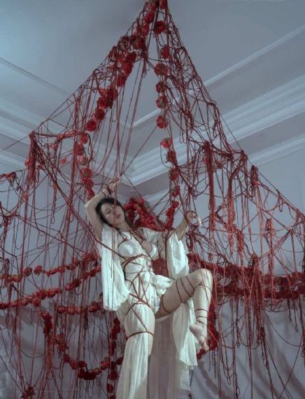 5566net的服务器地址_剧情片完整版观看