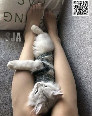 疯狂揉小泬到失禁高潮漫画_完整版电影在线观看