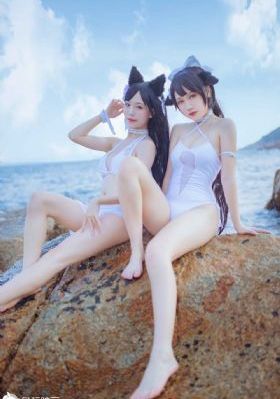黑狐在线观看_1080P免费观看视频