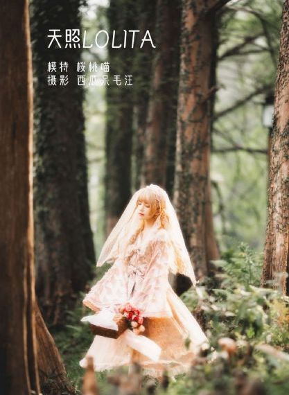 一级做a爰片久久毛片a片秋霞天_BD全集在线观看